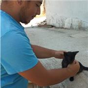 laureando in scienze della Natura, impartisce lezioni di chimica inorganica e organica e biologia